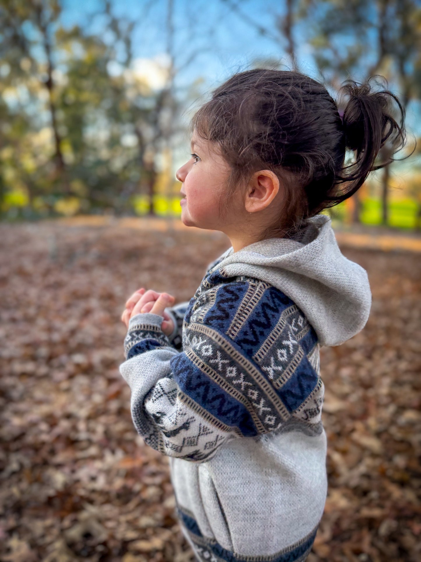 Andean Hooded Jacket Grey & Blue