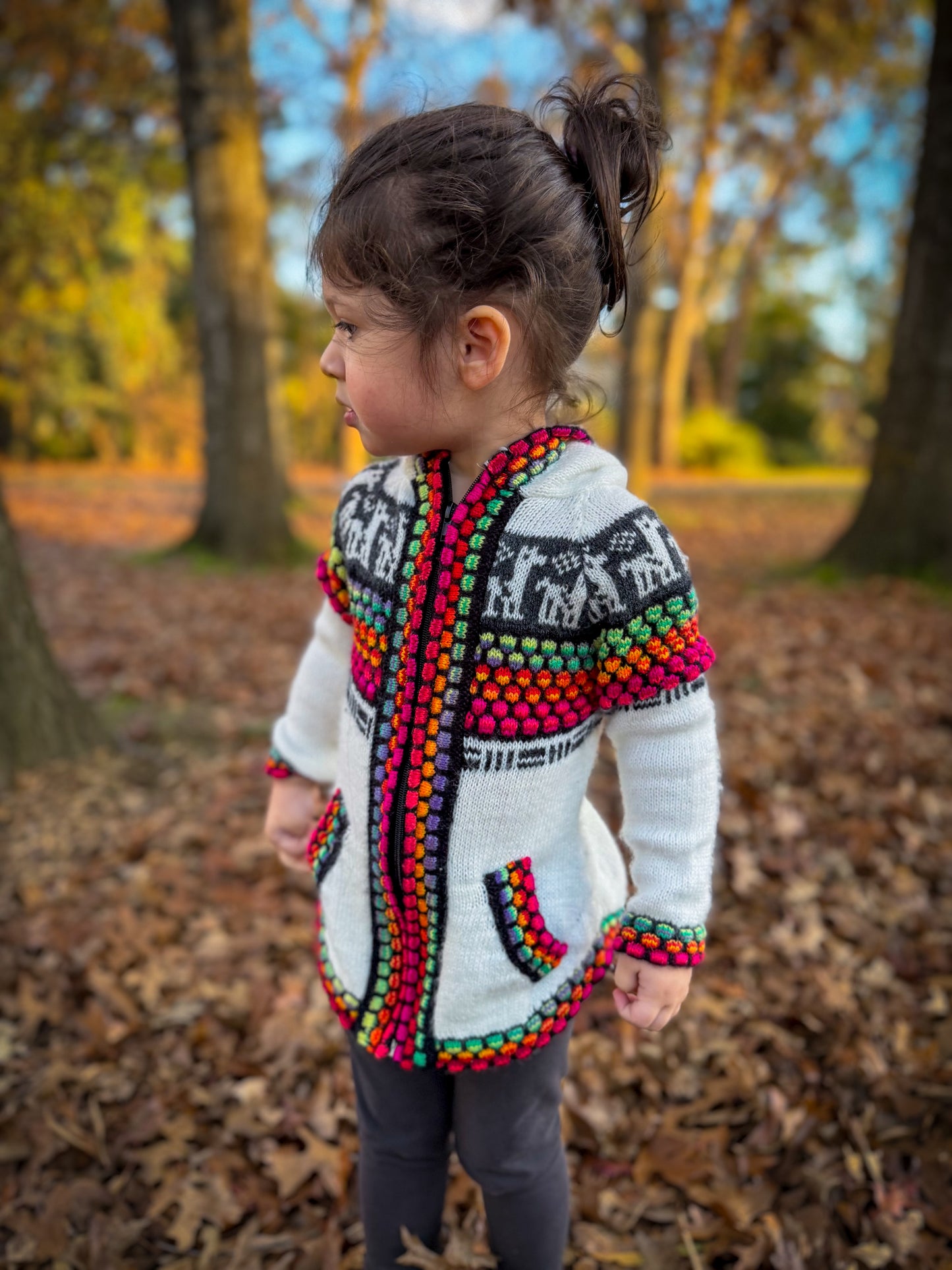 Otavalo Hooded Jacket Cream & Multicolour