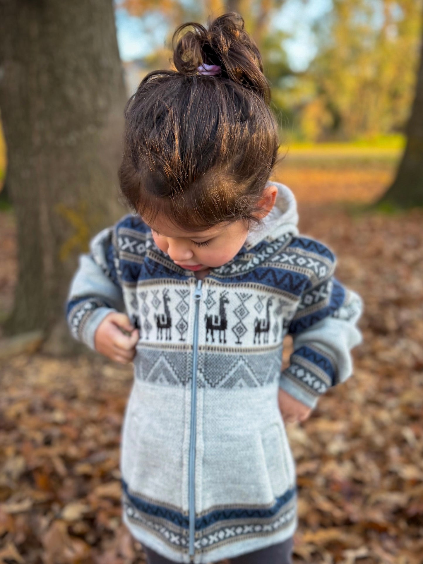 Andean Hooded Jacket Grey & Blue
