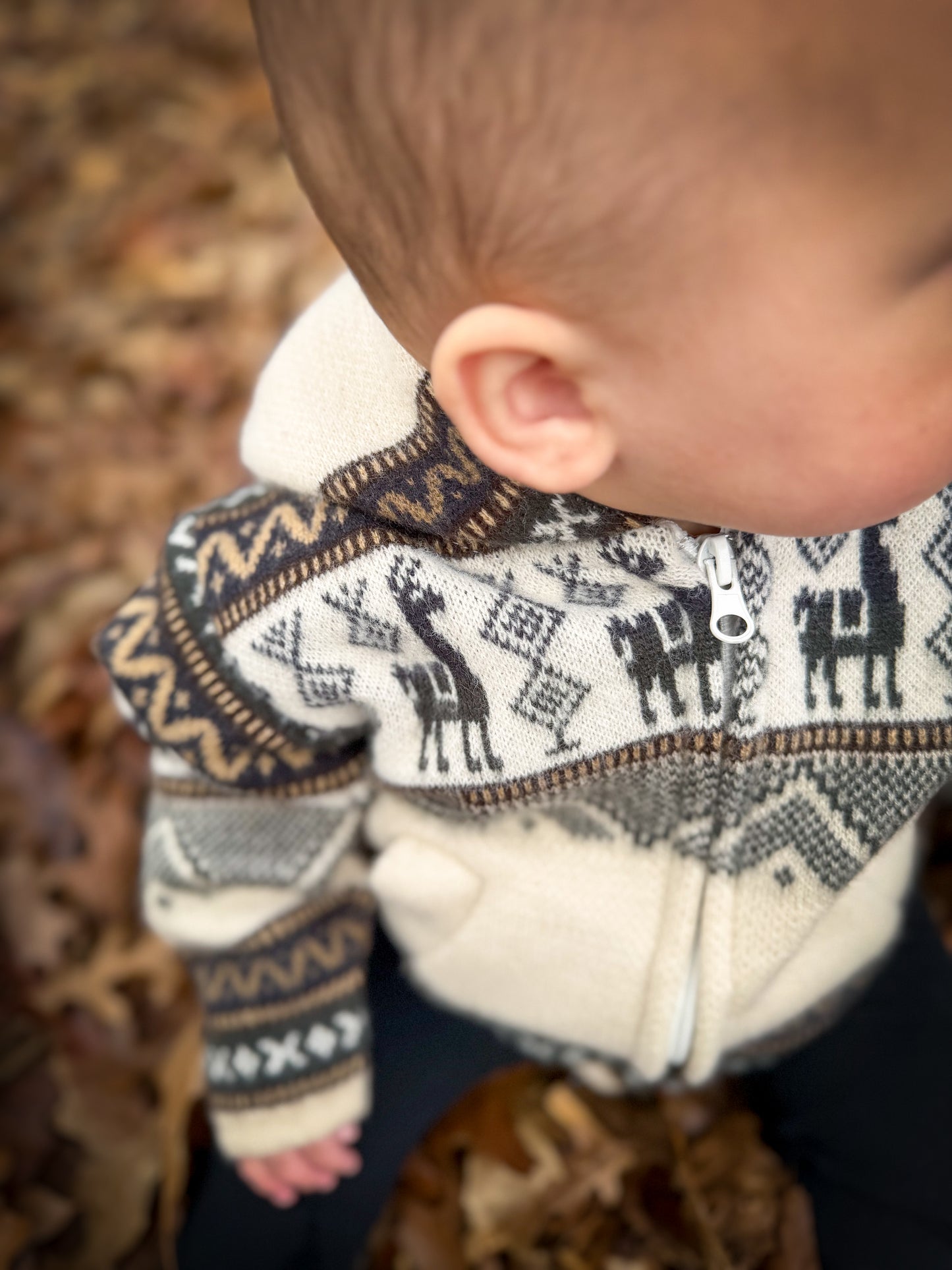 Andean Hooded Jacket Beige & Charcoal