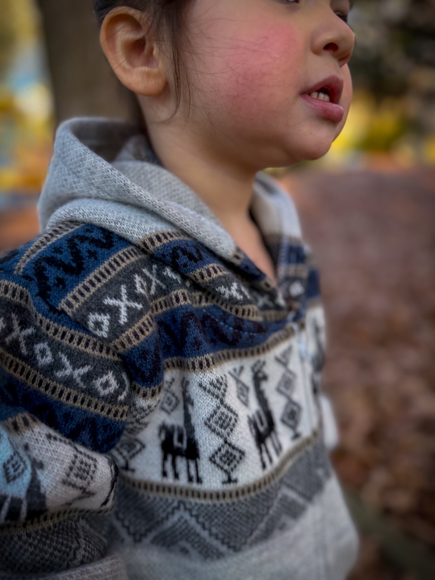 Andean Hooded Jacket Grey & Blue