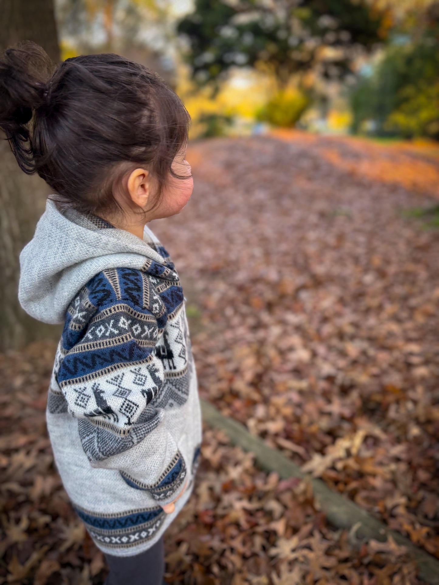 Andean Hooded Jacket Grey & Blue