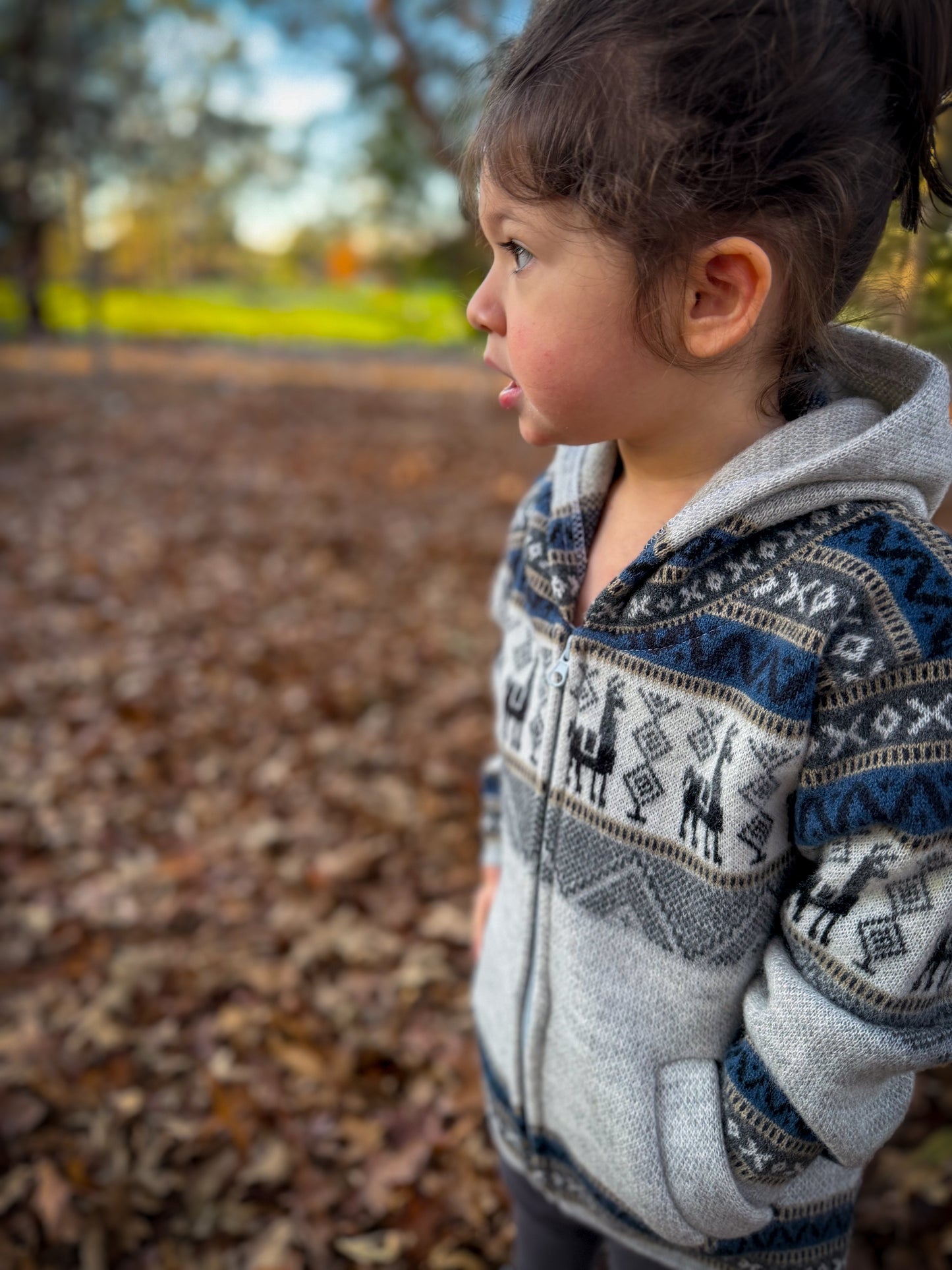 Andean Hooded Jacket Grey & Blue