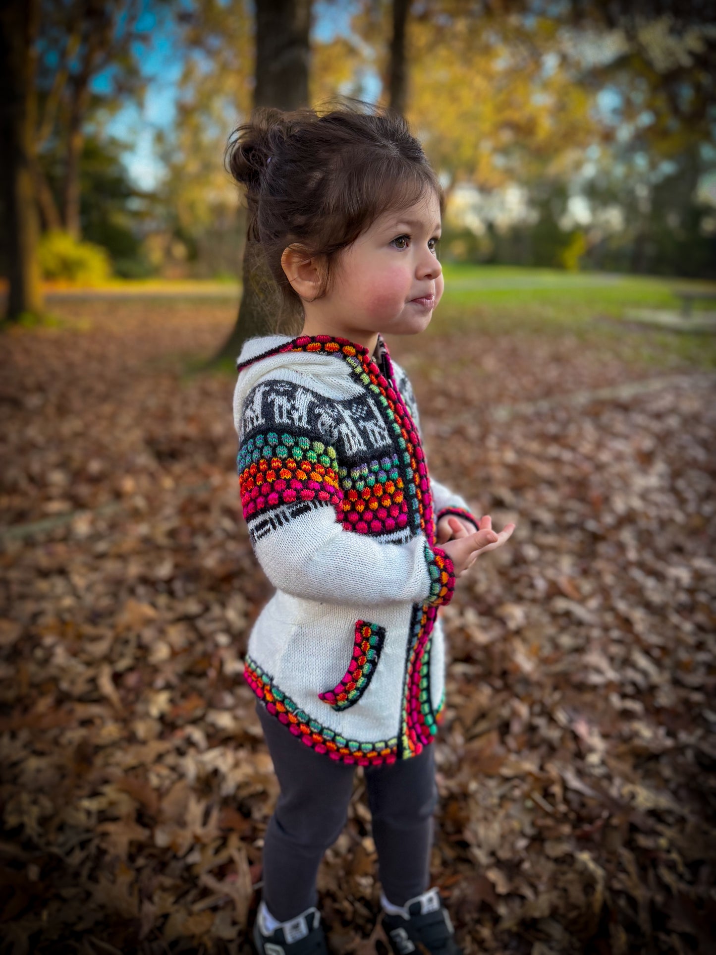 Otavalo Hooded Jacket Cream & Multicolour