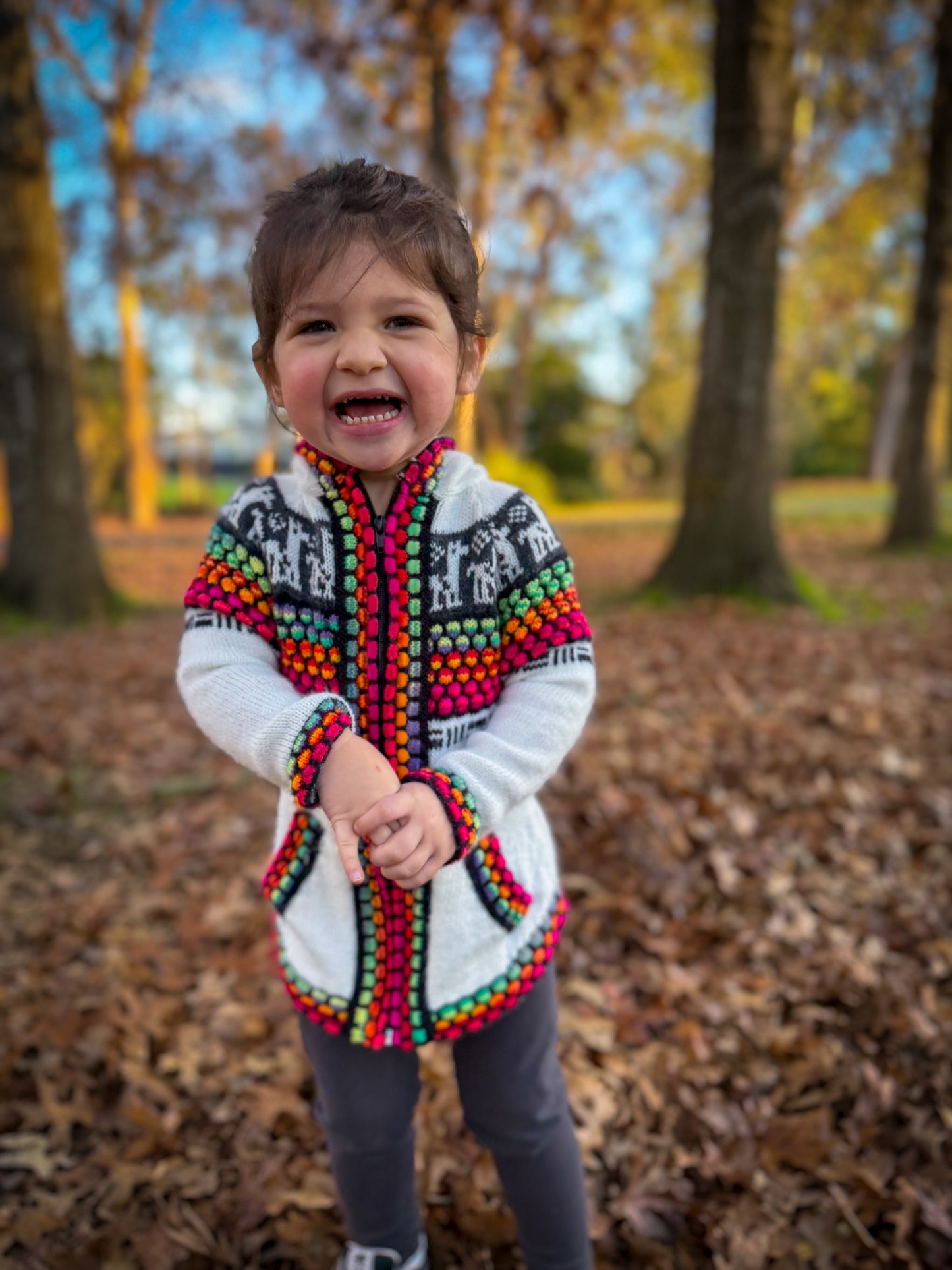 Otavalo Hooded Jacket Cream & Multicolour
