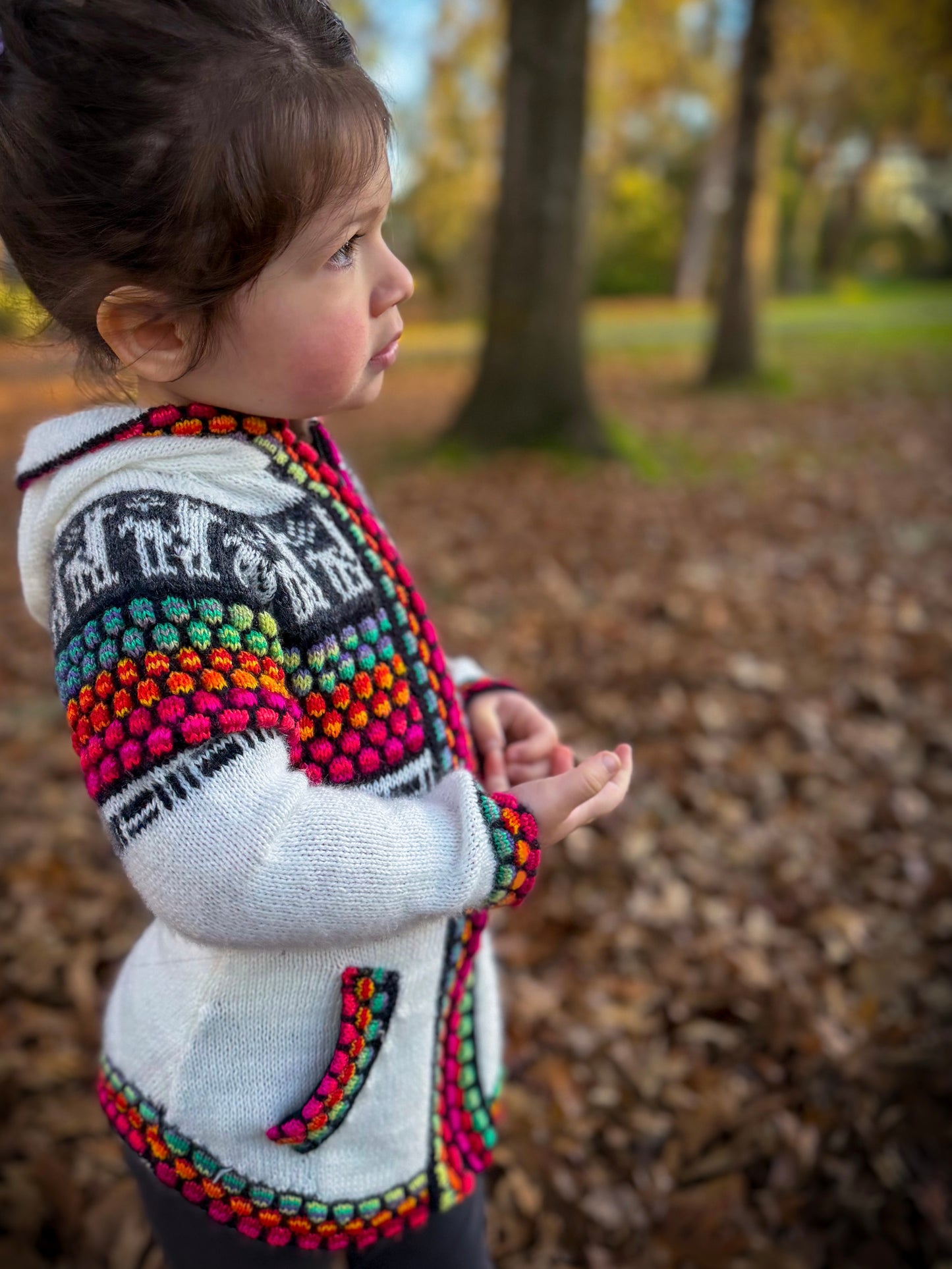 Otavalo Hooded Jacket Cream & Multicolour