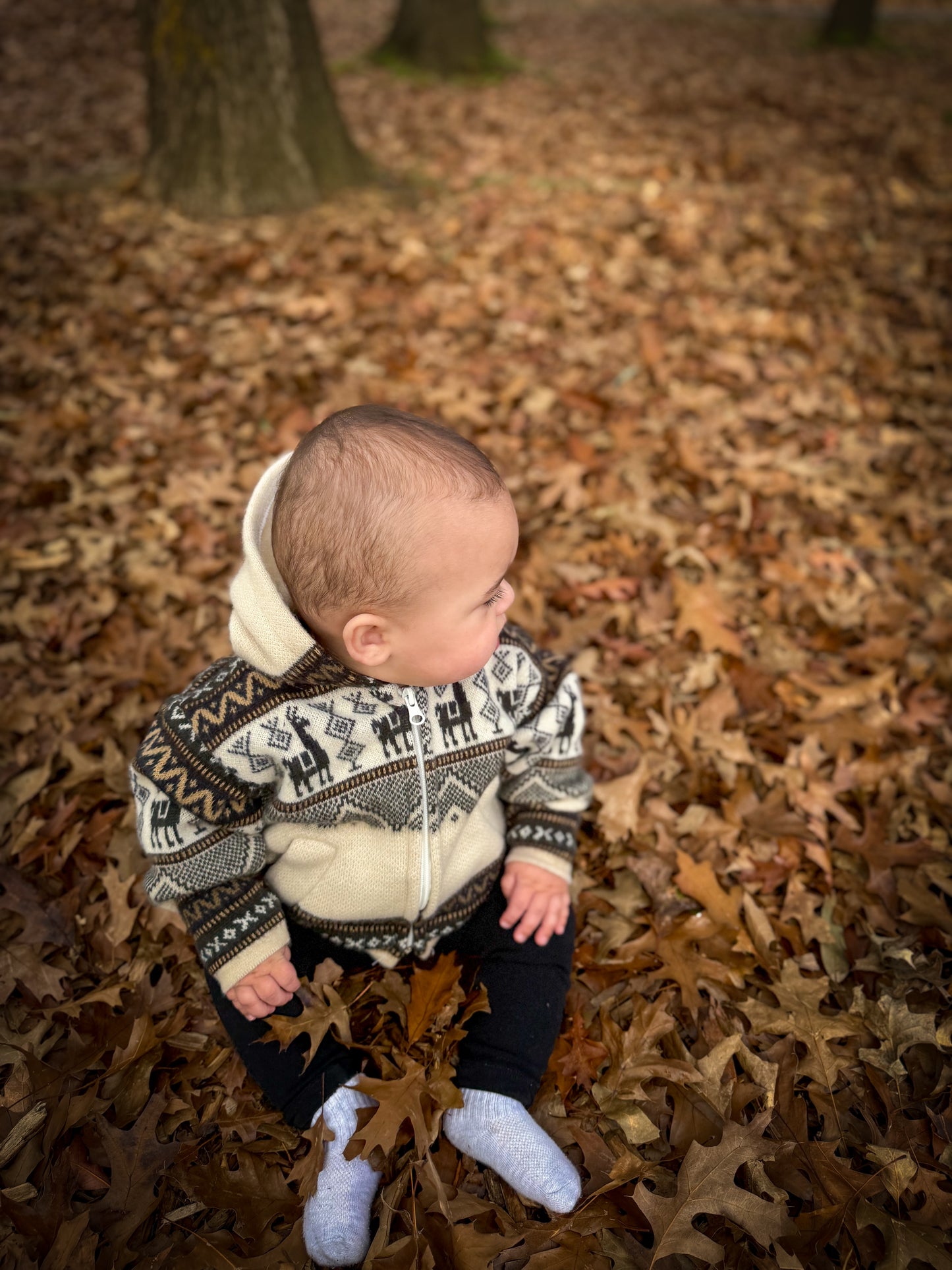 Andean Hooded Jacket Beige & Charcoal