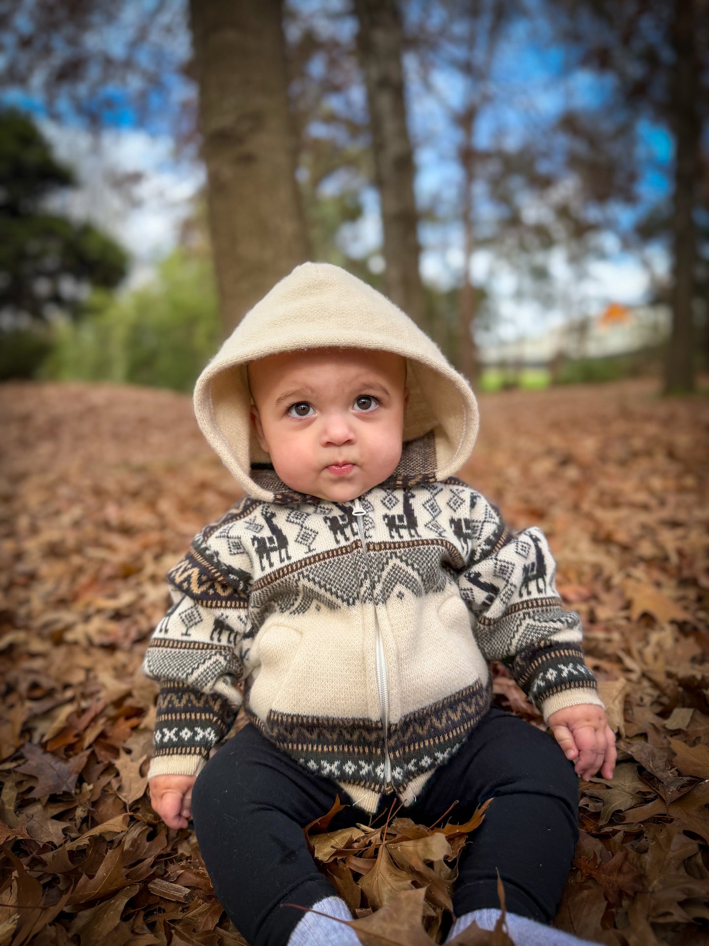 Andean Hooded Jacket Beige & Charcoal