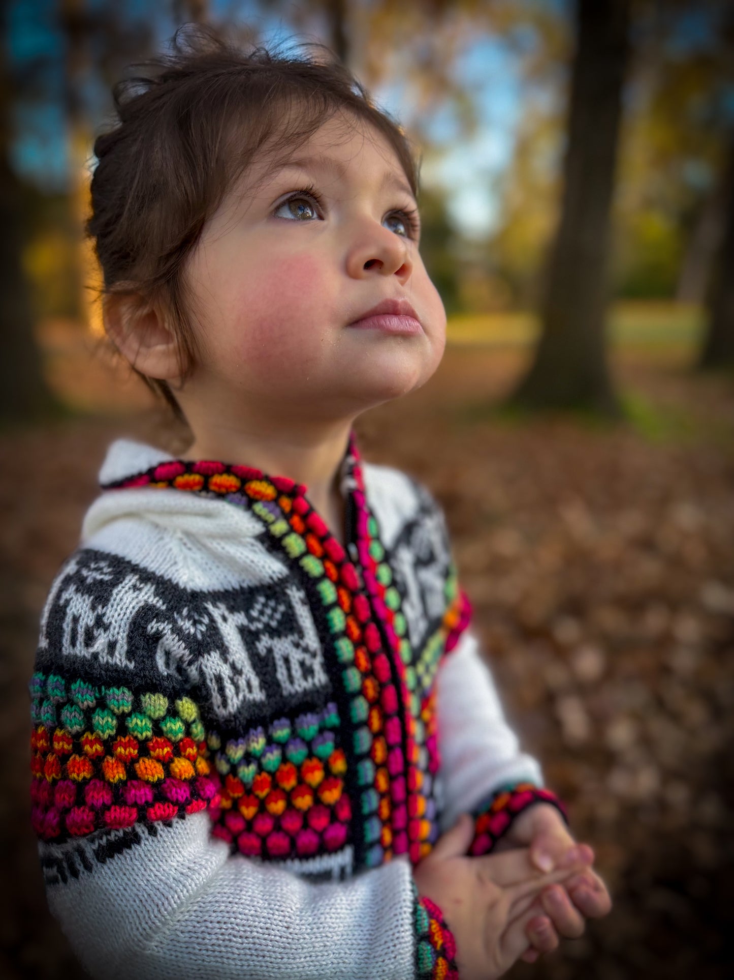 Otavalo Hooded Jacket Cream & Multicolour