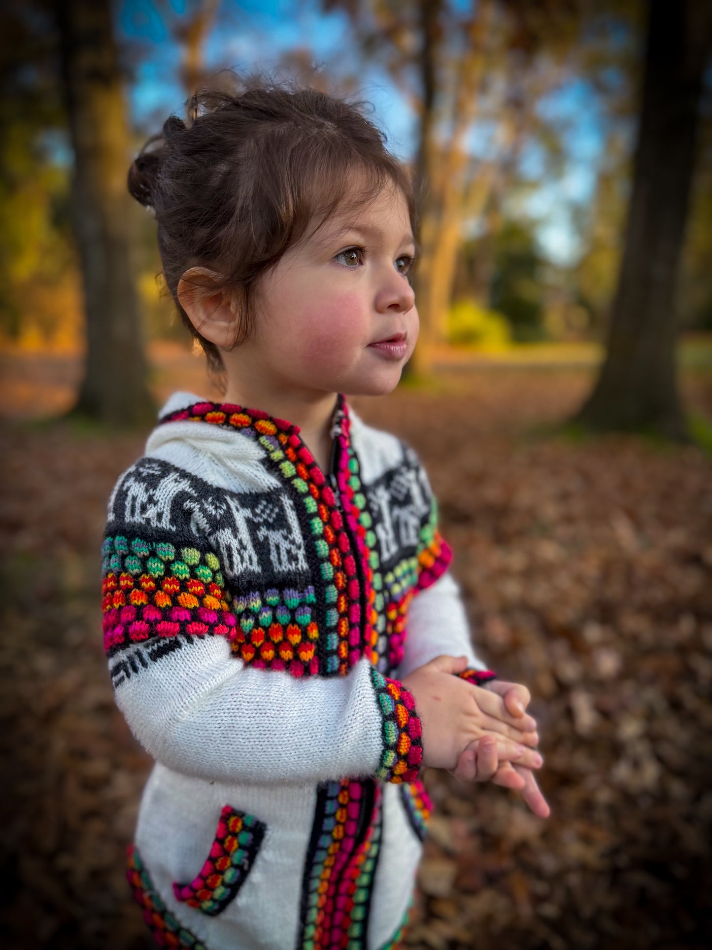 Otavalo Hooded Jacket Cream & Multicolour