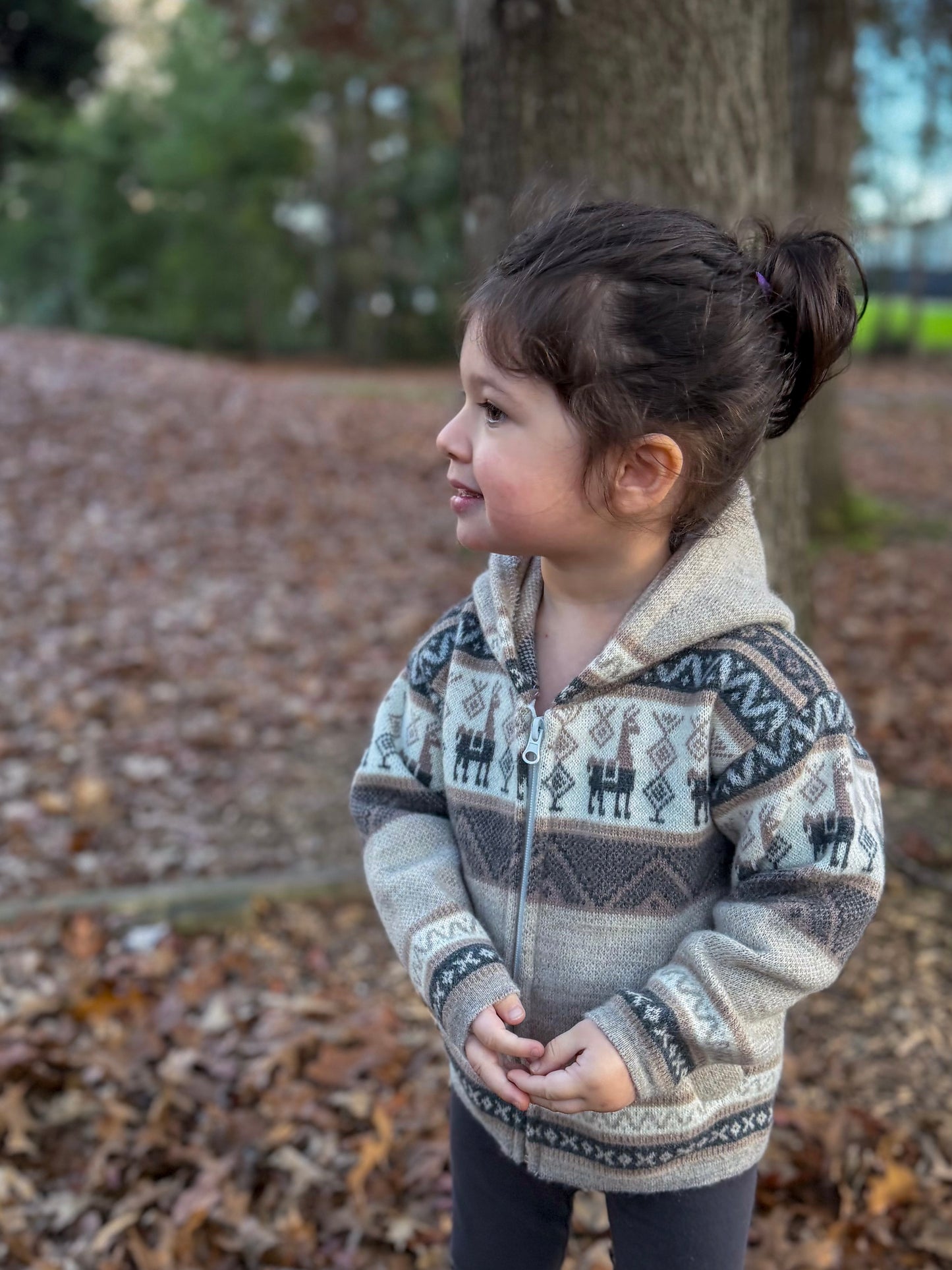 Andean Hooded Jacket Beige & Grey